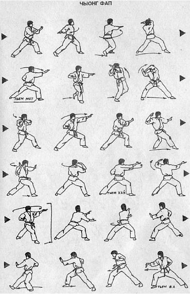 Вьетводао-Вовинам. От начинающего к черному поясу - _10.jpg_3