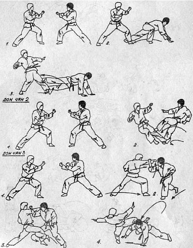 Вьетводао-Вовинам. От начинающего к черному поясу - _01.jpg_9