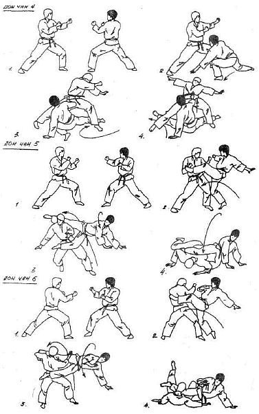 Вьетводао-Вовинам. От начинающего к черному поясу - _02.jpg_8