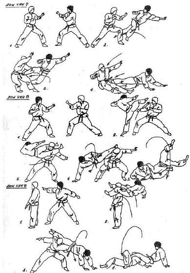 Вьетводао-Вовинам. От начинающего к черному поясу - _03.jpg_8