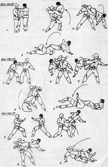 Вьетводао-Вовинам. От начинающего к черному поясу - _04.jpg_8