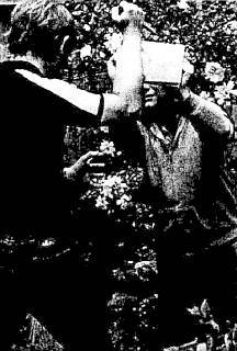 Оружие уличного бойца - _189.jpg