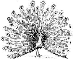 Красная книга сказок кота Мурлыки - i_122.png