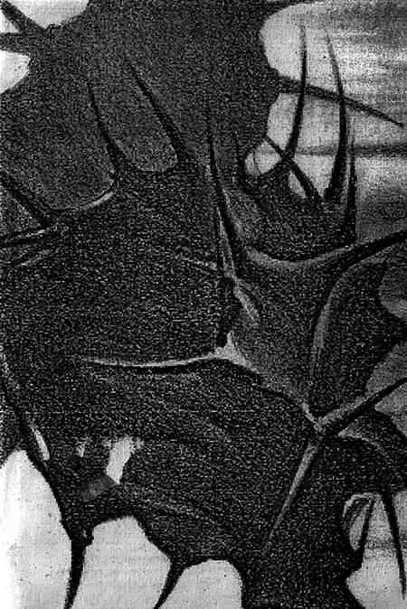 Ящики незнакомца. Наезжающей камерой - i_006.jpg