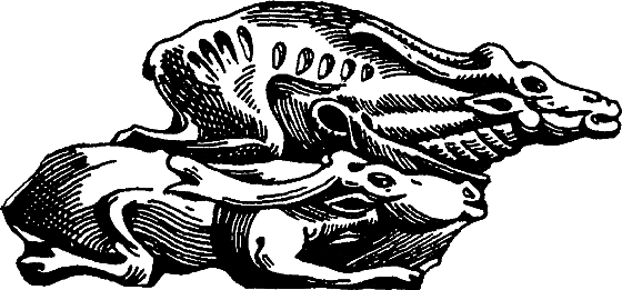 Необычное литературоведение - i_008.png