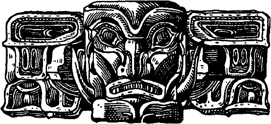 Необычное литературоведение - i_014.png