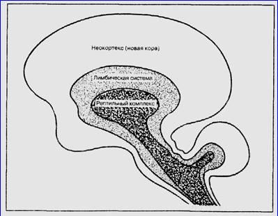Драконы Эдема - img_7.jpeg