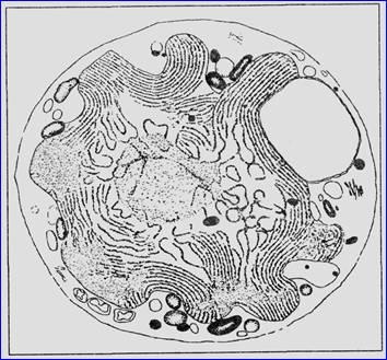 Драконы Эдема - img_9.jpeg