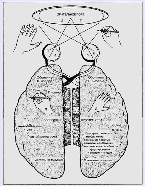Драконы Эдема - img_15.jpeg