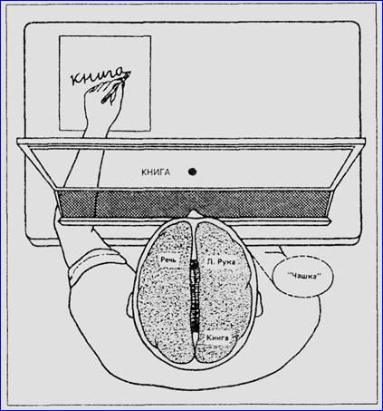 Драконы Эдема - img_17.jpeg