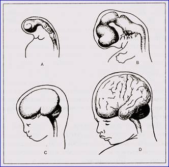 Драконы Эдема - img_19.jpeg