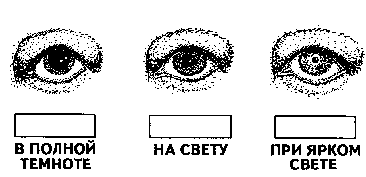 Учимся быть внимательными - Any2FbImgLoader5