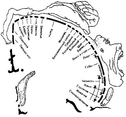 Учитесь быстро читать - _20.jpg