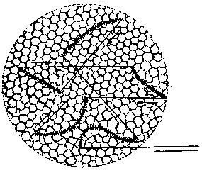 Учитесь быстро читать - _23.jpg