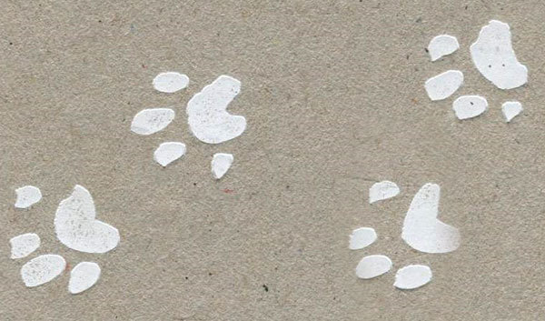 Кот-убийца и Рождество - i_048.jpg