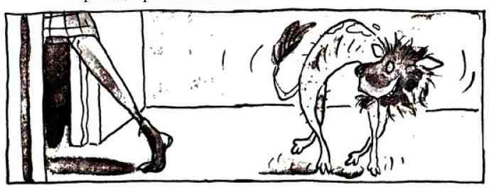 Нотсо Хотсо. - i_028.jpg