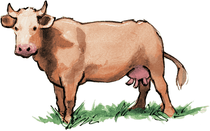 Магнит счастья. Как привлечь в свою жизнь все, что хочешь - i_003.png