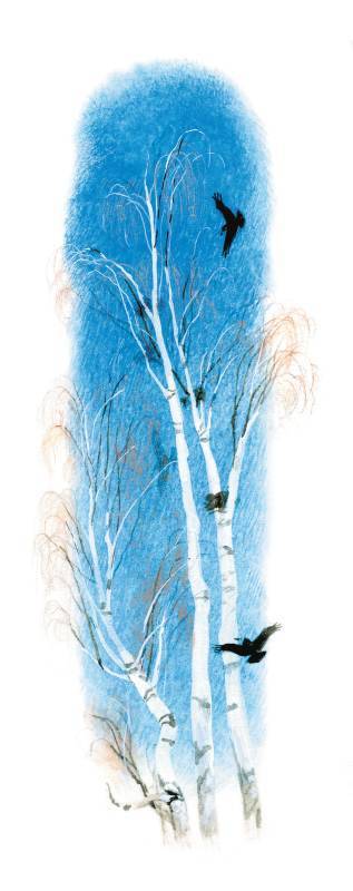 Арктур – гончий пес (сборник) - _38.jpg