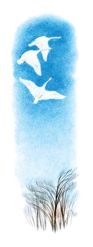 Арктур – гончий пес (сборник) - _39.jpg