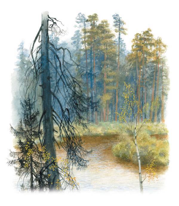 Арктур – гончий пес (сборник) - _68.jpg