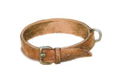 Арктур – гончий пес (сборник) - _44.jpg