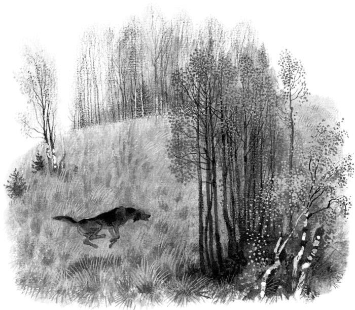 Рассказы - frontis2.jpg