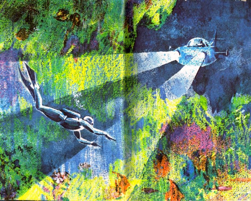 Гаяна (Иллюстрации Л. Гольдберга) - pic_1.jpg