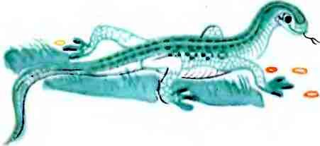 ЧАО - победитель волшебников - i_034.jpg