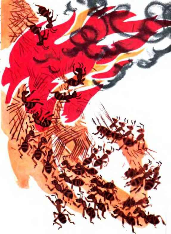 ЧАО - победитель волшебников - i_039.jpg