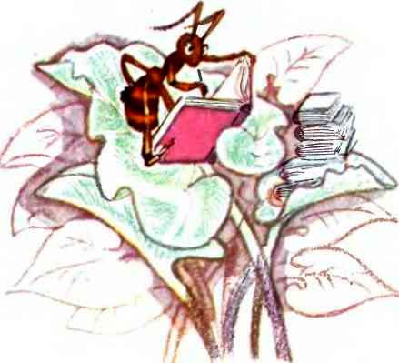 ЧАО - победитель волшебников - i_040.jpg