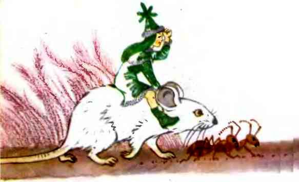 ЧАО - победитель волшебников - i_041.jpg