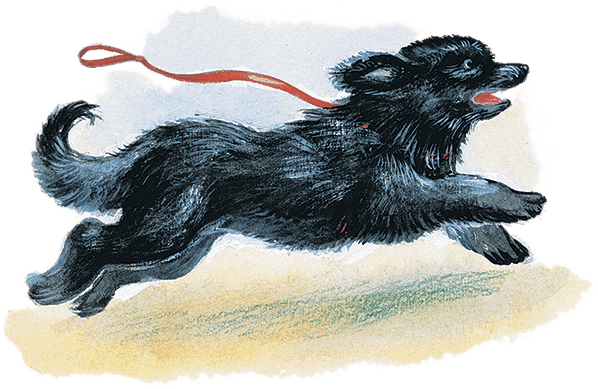 Питер Пэн в Кенсингтонском Саду (др. перевод) - i_034.png