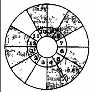 Том 3. Домология - i_024.jpg