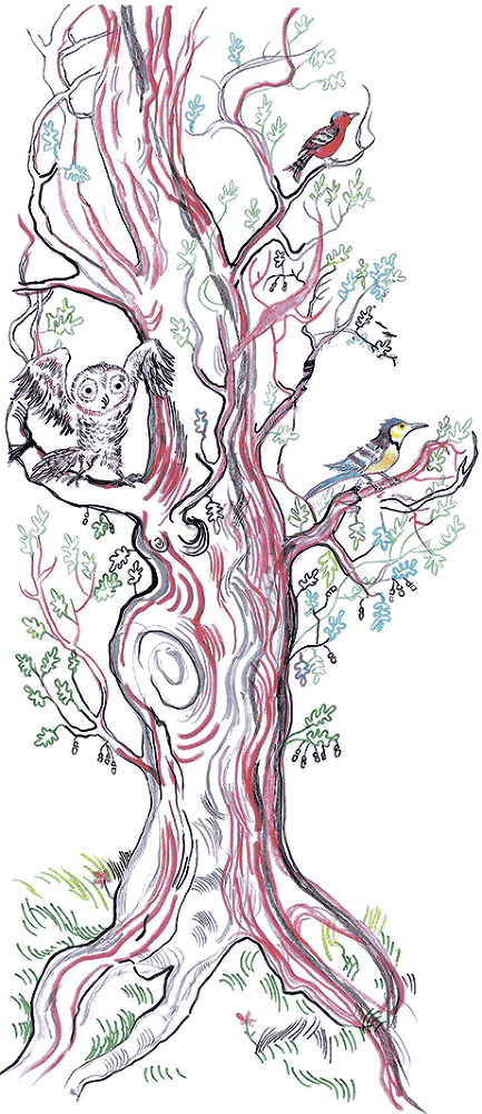 Полное собрание баллад о Робин Гуде - i_032.png