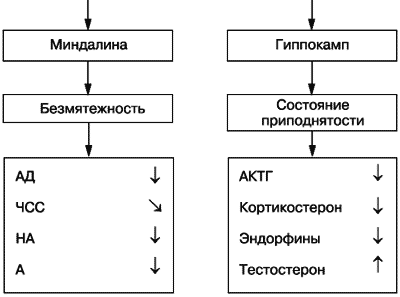Эмоции и чувства - i_024.png