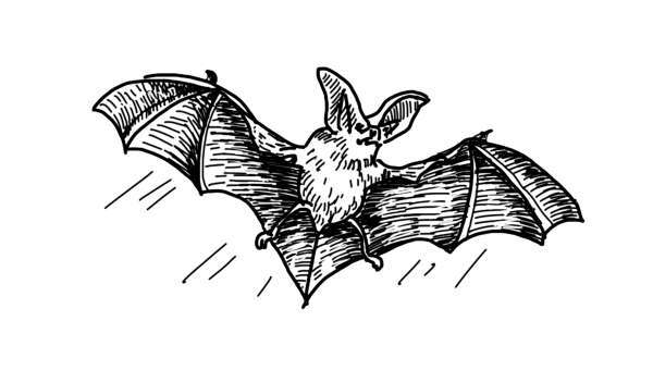 Служба Контроля - _1letuchajamysh.jpg