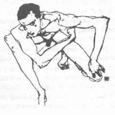 Тетради дона Ригоберто - pic1.jpg