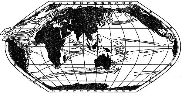 По следам морских катастроф - i_041.jpg