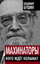 Махинаторы. Кого ждет Колыма - автор Бушин Владимир Сергеевич 