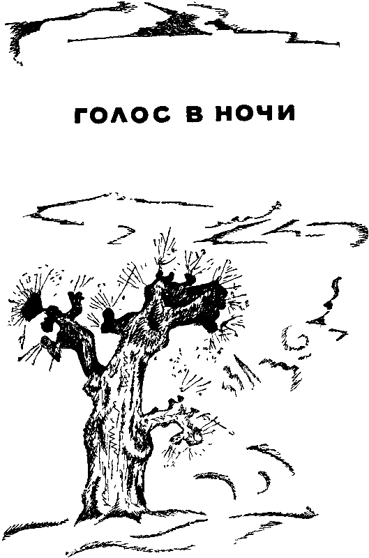 Голос в ночи. «Вспомни!» - pic_2.png