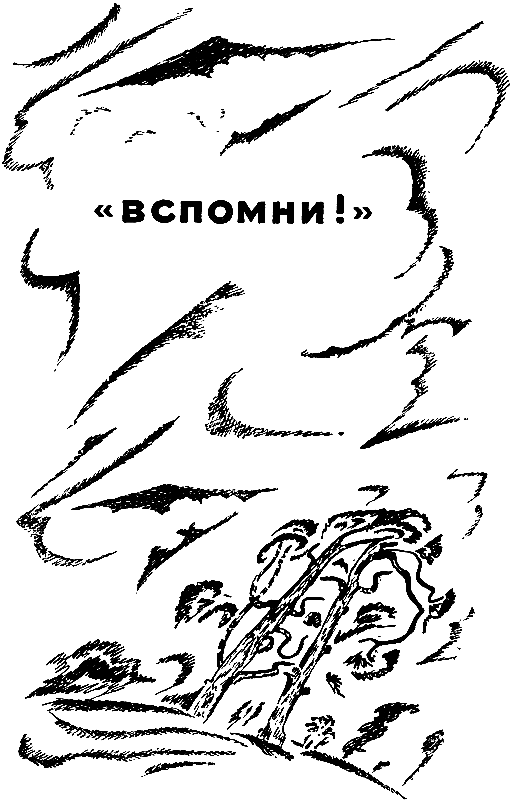 Голос в ночи. «Вспомни!» - pic_6.png