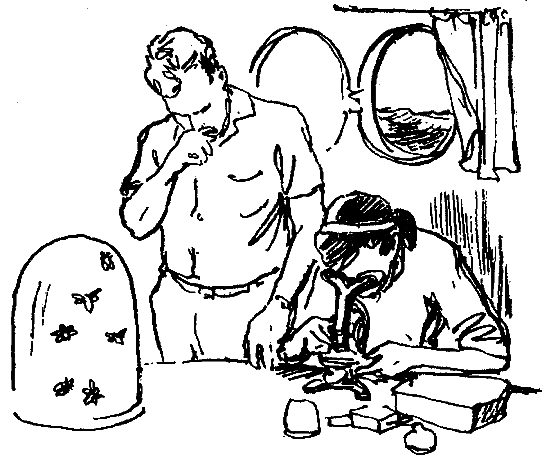 Гость из моря - pic_7.png