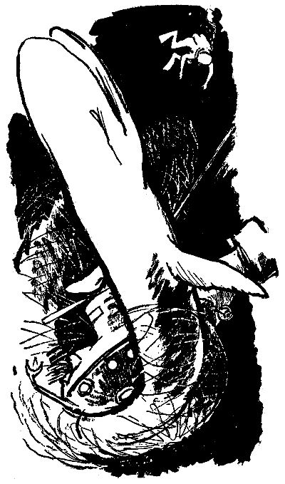 Гость из моря (журнальный вариант) - pic_17.png