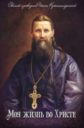 Моя жизнь во Христе. Том 2 - автор Кронштадтский Иоанн 