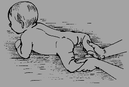 Детский массаж. Поэтапное руководство - i_011.png