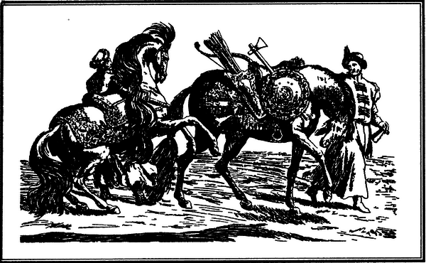 Давний спор славян. Россия. Польша. Литва [с иллюстрациями] - i_014.png