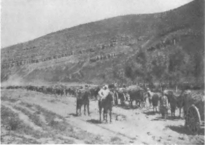 Падение Порт-Артура - i_066.jpg