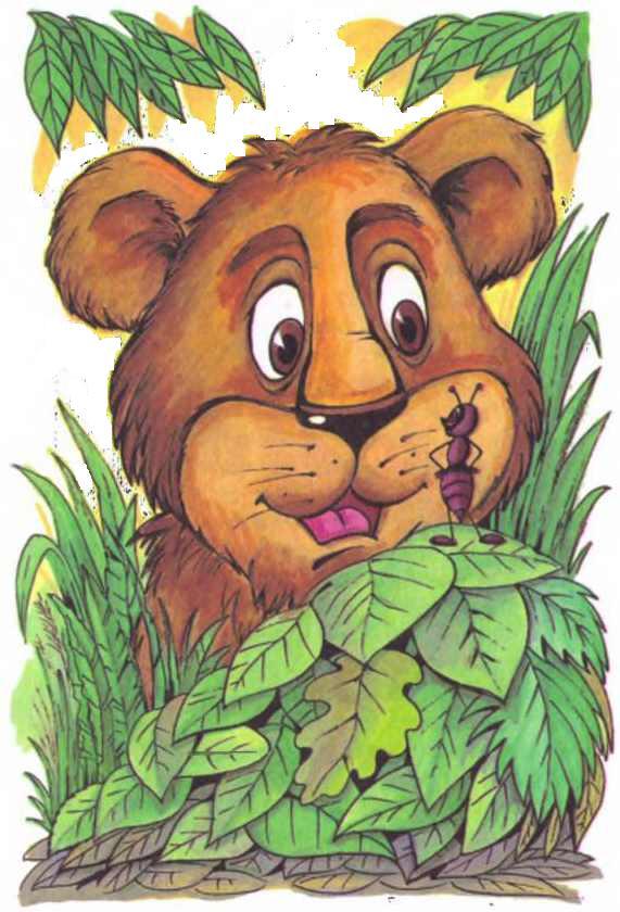 Дед Мороз и лето - i_039.jpg