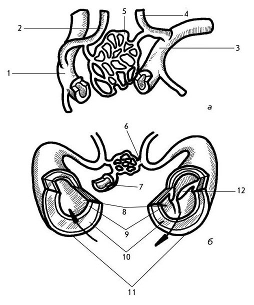 2 в 1. Скажи «нет» болезням сердца. Скажи «нет» высокому и низкому давлению - i_005.jpg