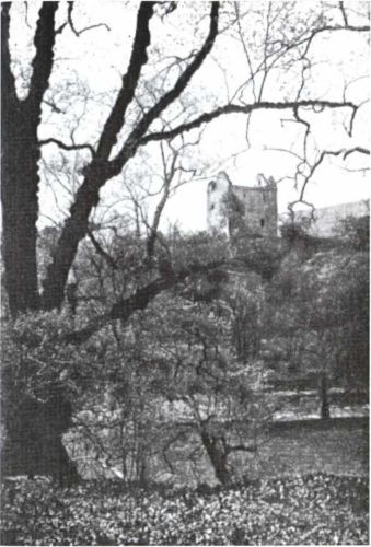 Шотландия: Путешествия по Британии - i_020.jpg